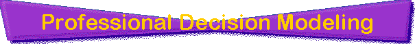 Professional Decision Modeling